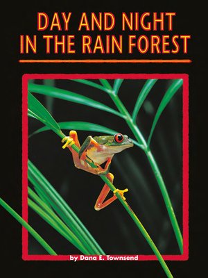 cover image of Day and Night in the Rain Forest
